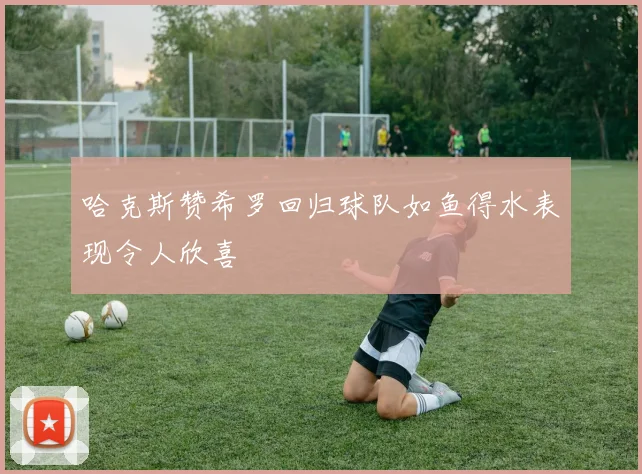 哈克斯赞希罗回归球队如鱼得水表现令人欣喜