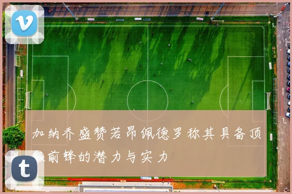 加纳乔盛赞若昂佩德罗称其具备顶级前锋的潜力与实力
