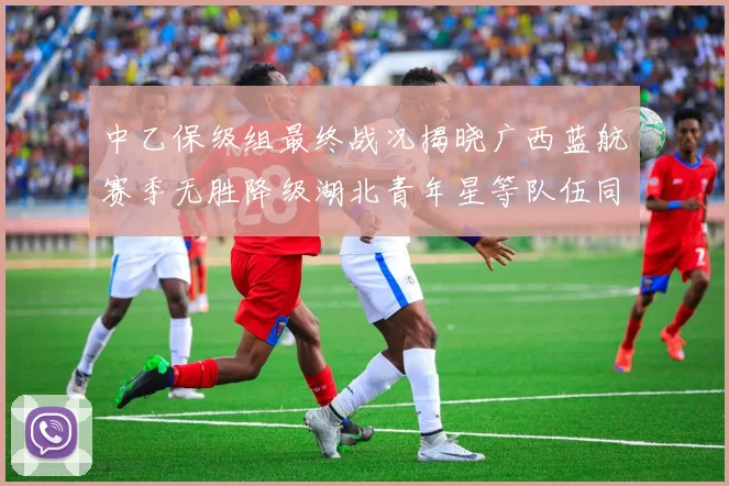 中乙保级组最终战况揭晓广西蓝航赛季无胜降级湖北青年星等队伍同遭降级