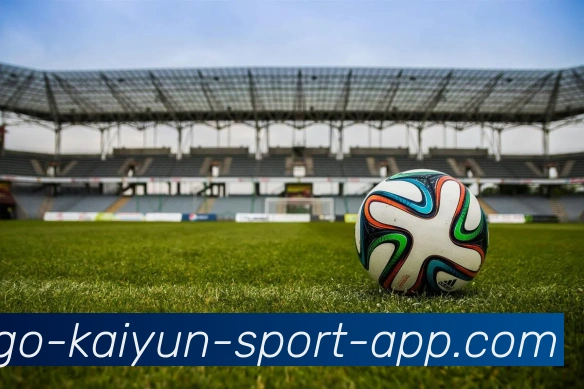 开云体育APP 封面图